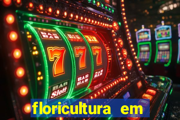 floricultura em franca sp